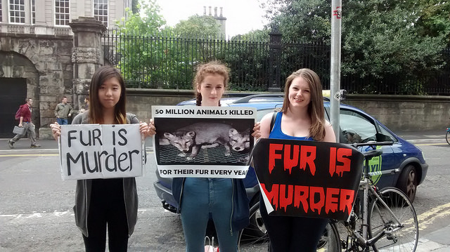 animal activist, anti-fur, fur industry, fur fashion, Canada