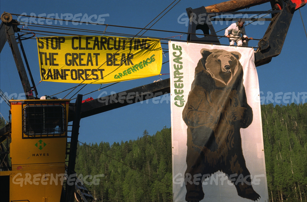 Great Bear Rainforest, Germany, Greenpeace protests, B.C. rainforest, timber industry, B.C. forestry, coastal temperate rainforest, spirit bear