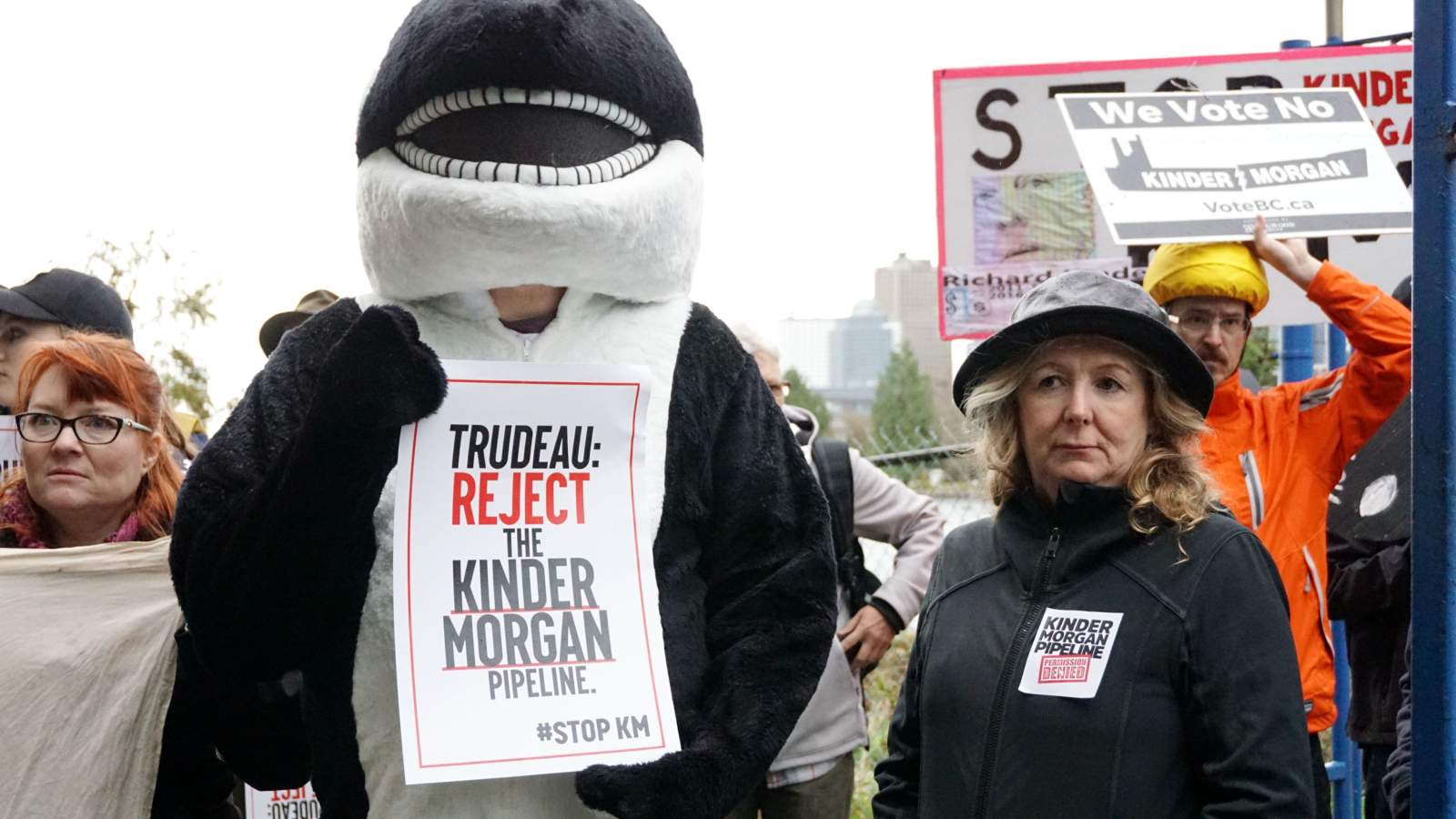 Karen Mahon, Stand, Kinder Morgan, Trans Mountain expansion, Southern resident killer whale