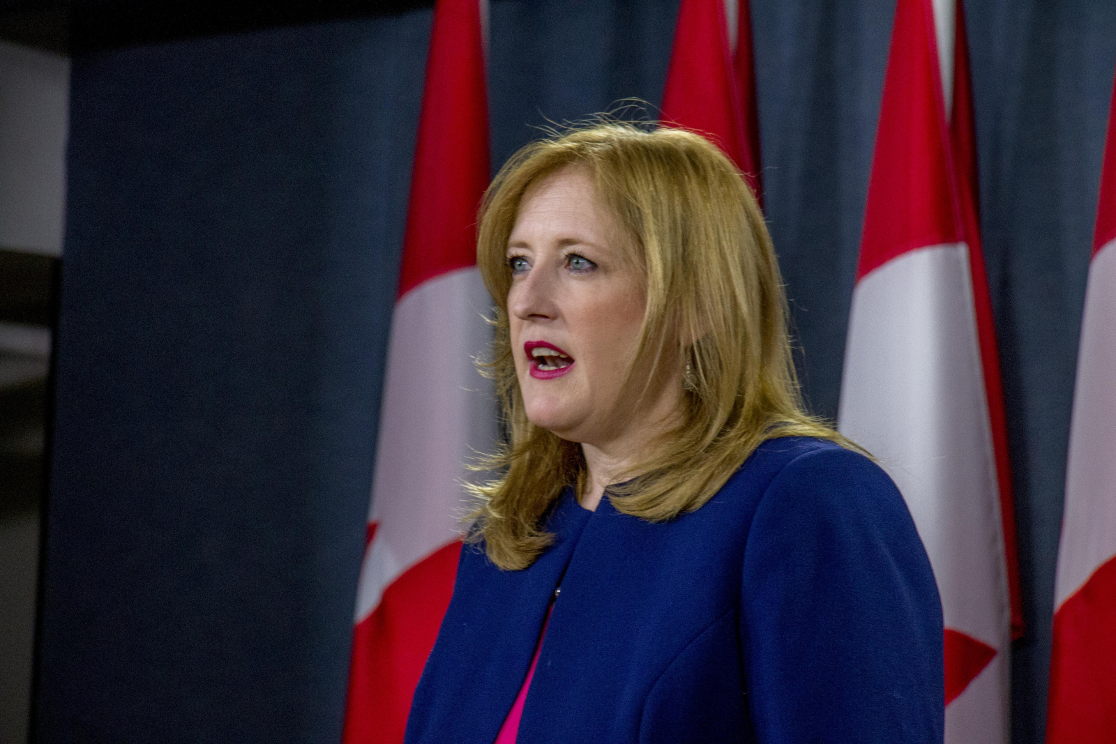 Lisa Raitt, Conservative Party of Canada, Ottawa, Canada