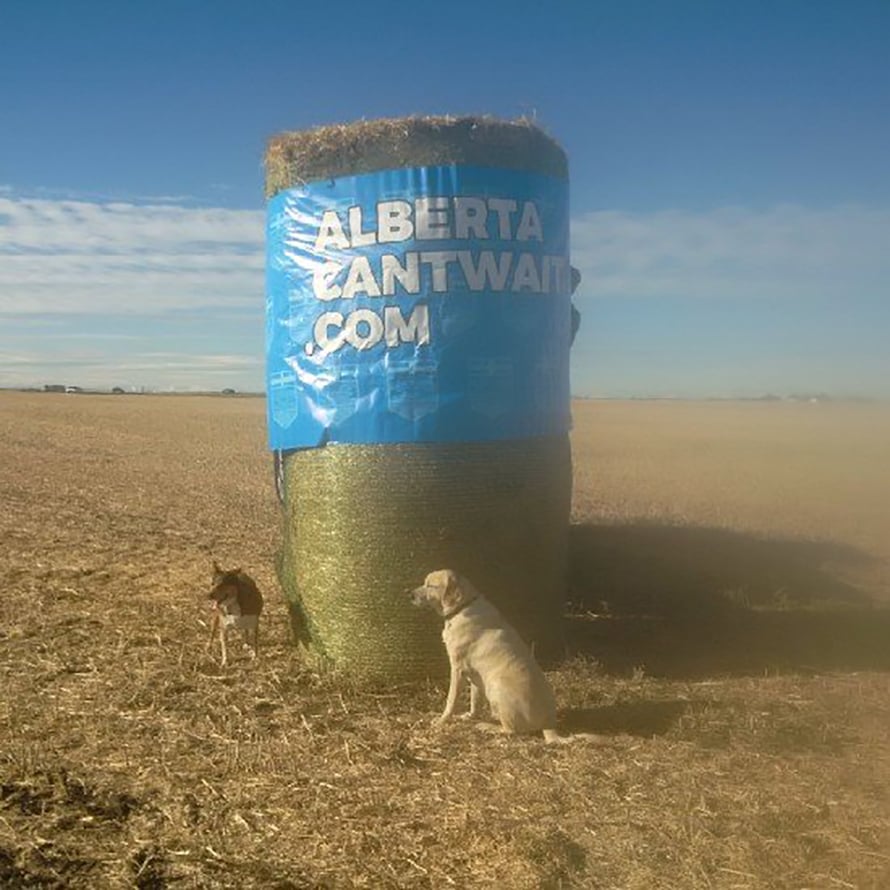 An Alberta Can't Wait poster wrapped around a hay bale. Photo by Alberta Can't Wait.