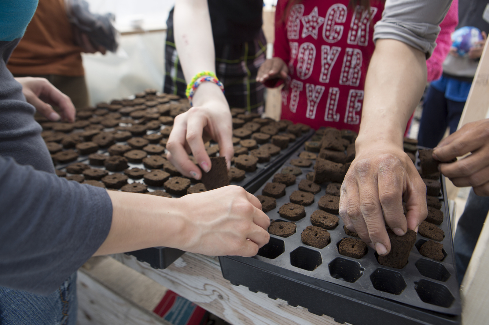 Planting seeds in the Growing North greenhouse in Naujaat, Nunavut. Photo by Growing North
