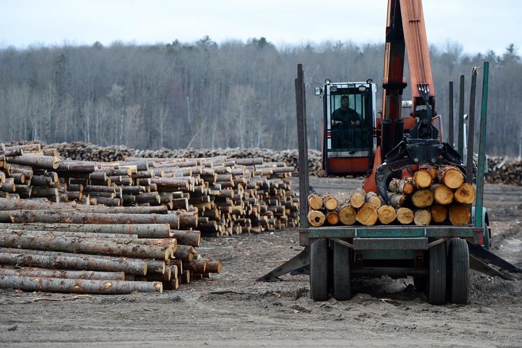 Logs are unloaded at Murray Brothers Lumber Company woodlot in Madawaska, Ontario on Tuesday April 25, 2017.