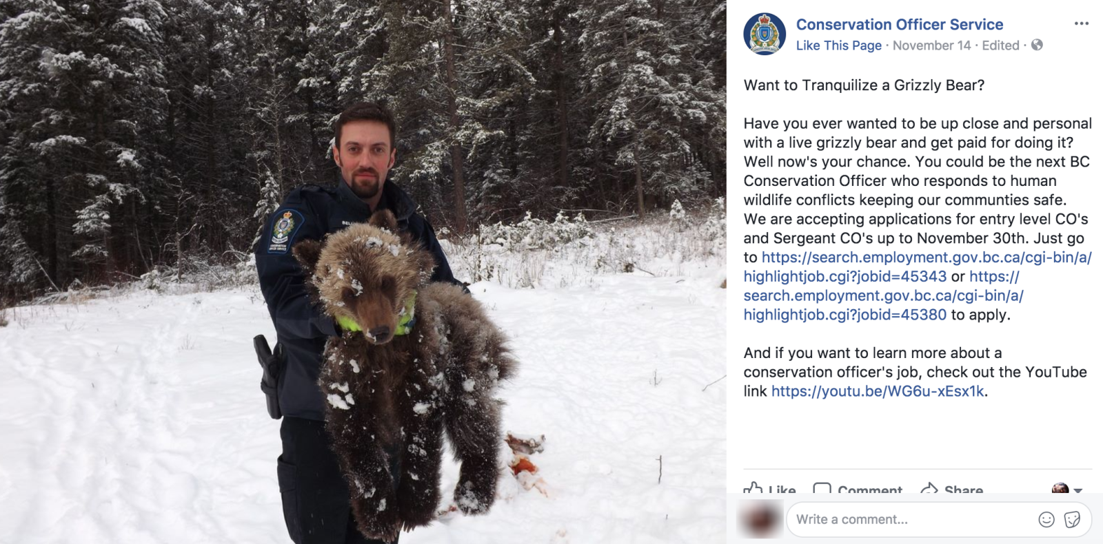 Conservation Officer Service, British Columbia, grizzly bears, trophy hunt