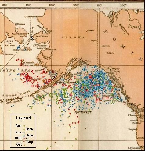 Map showing right whale catches from 1785 to 1913 in the eastern North Pacific from the records of U.S. whaleships. Photo from Environment and Climate Change Canada