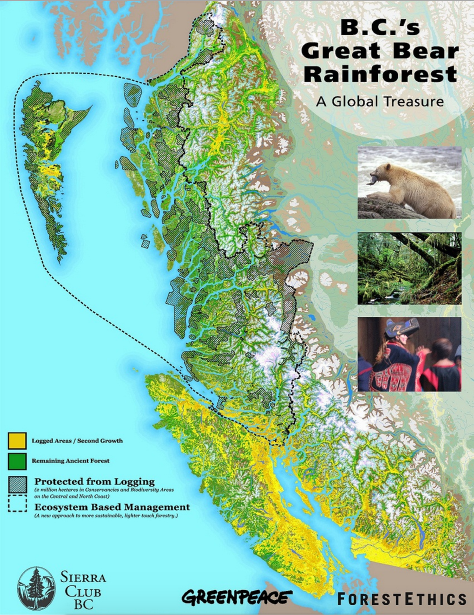 Great Bear Rainforest, Andy Wright, Greenpeace protests, B.C. rainforest, timber industry, B.C. forestry, coastal temperate rainforest, spirit bear