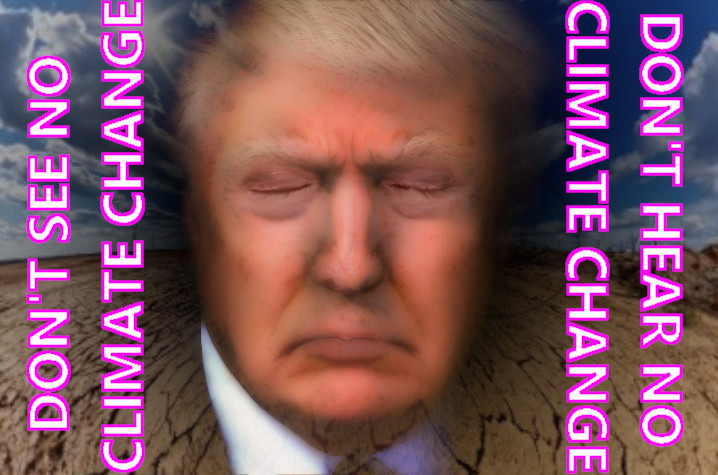 Climate denial in American politics