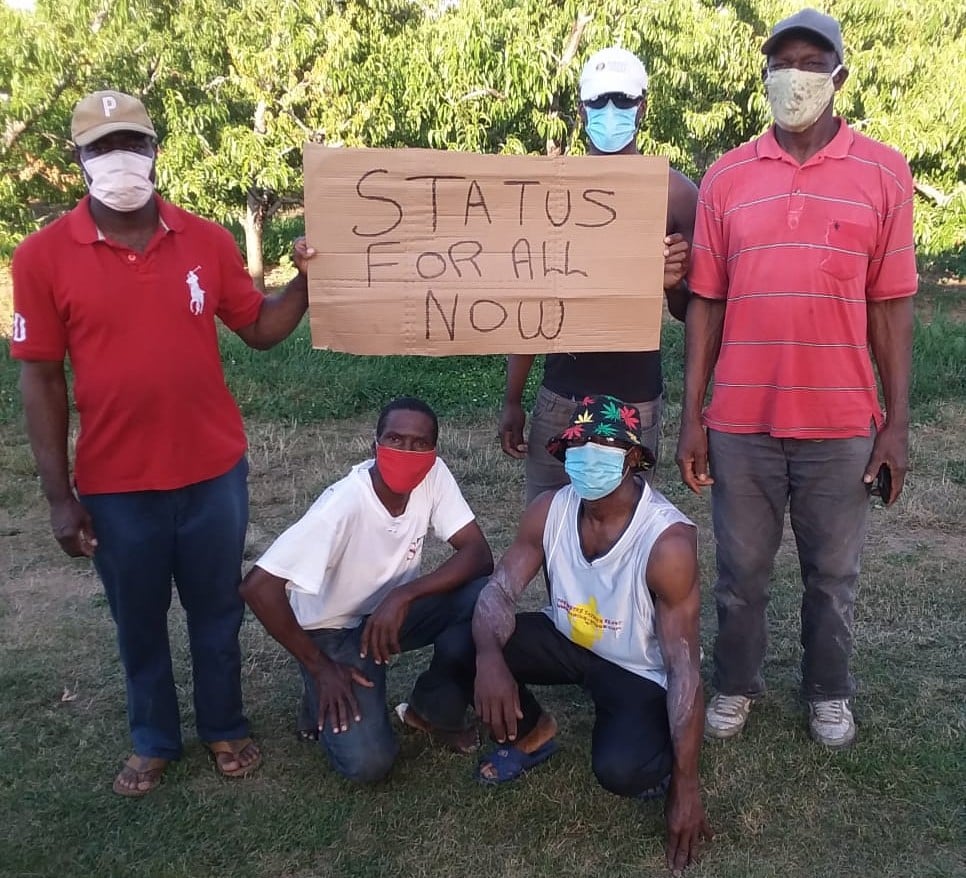 Jamaican farm workers in Canada plead to their government to help improve working and living conditions | Canada's National Observer: News & Analysis
