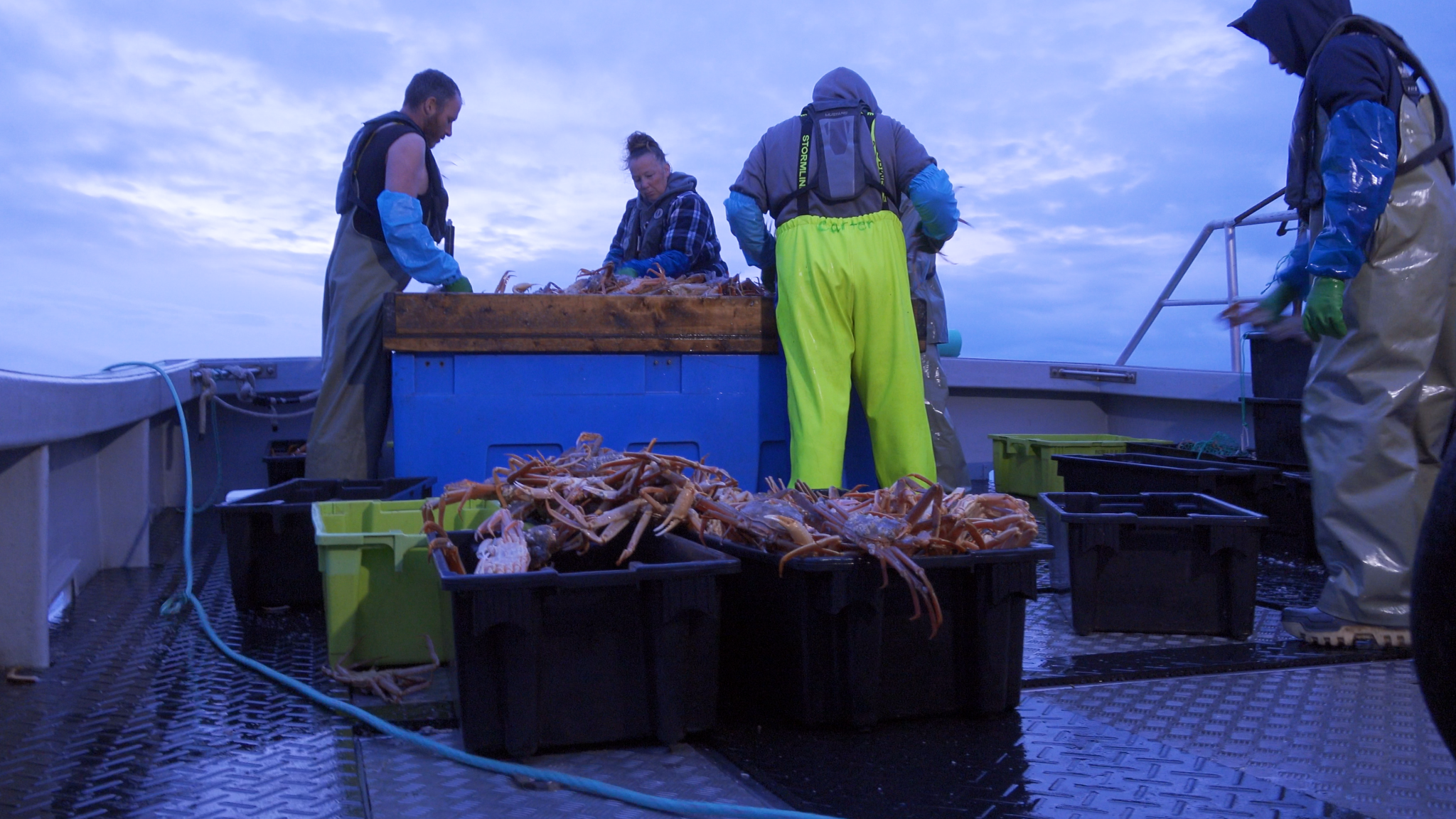https://www.nationalobserver.com/sites/nationalobserver.com/files/styles/article_header_xl/public/img/2023/11/27/commercial_fishing_crab.00_00_33_15.still005.png?itok=lwD-4uXi
