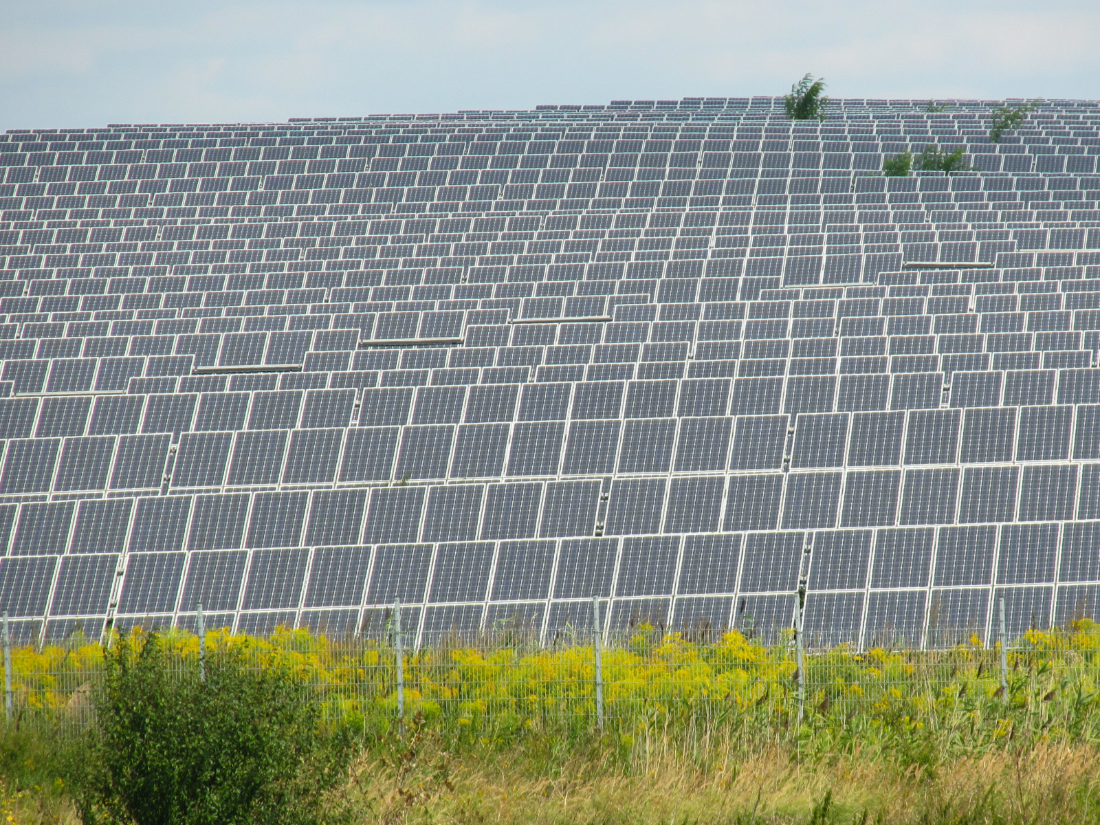 solar_panels_germany_-_solaranlage-zw-ruedersdorf-fredersdorf_-_wikicommons.jpg