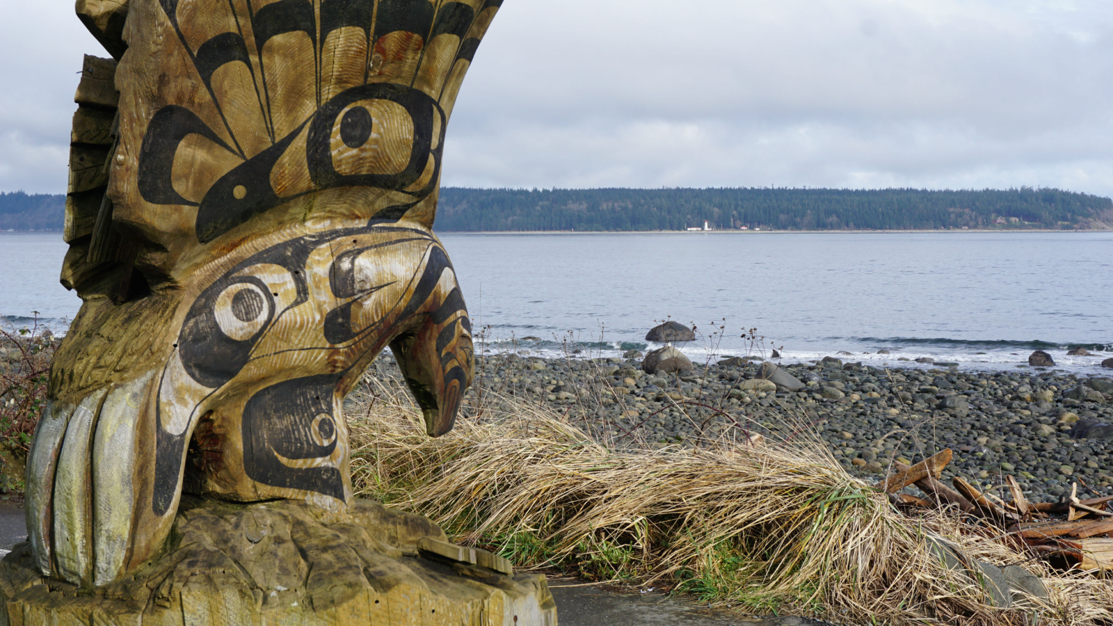 Campbell River, Great Bear Rainforest, Nanwakolas Council, We Wai Kum First Nation, Tlowitsis First Nation