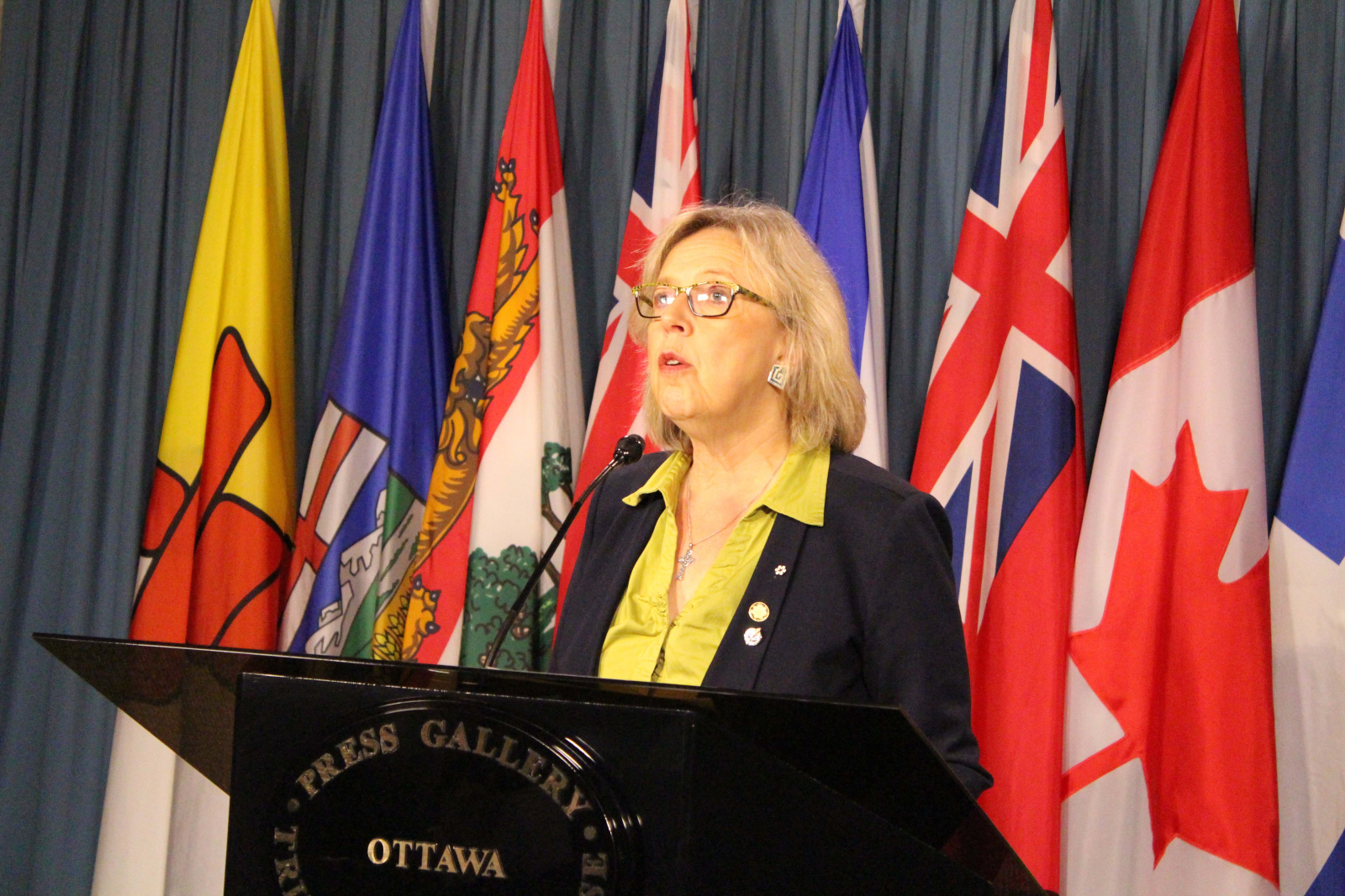 Elizabeth May, forest fires, wildfires, Fort McMurray