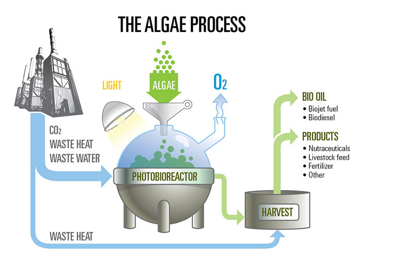 COSIA, Algae Project, oil and gas industry, clean technology, carbon capture, emissions reduction