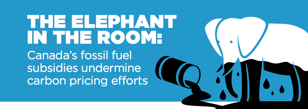 elephant, fossil fuel subsidies