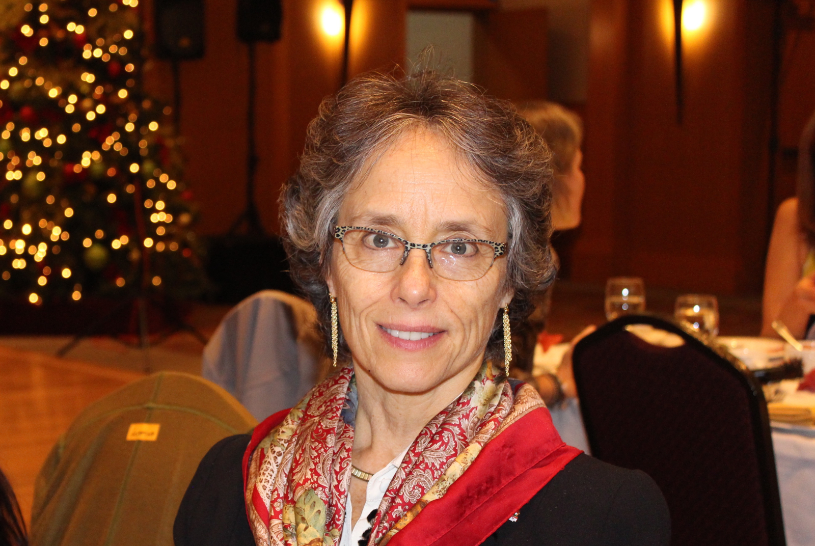 Diane Saxe, Ontario, environment commissioner