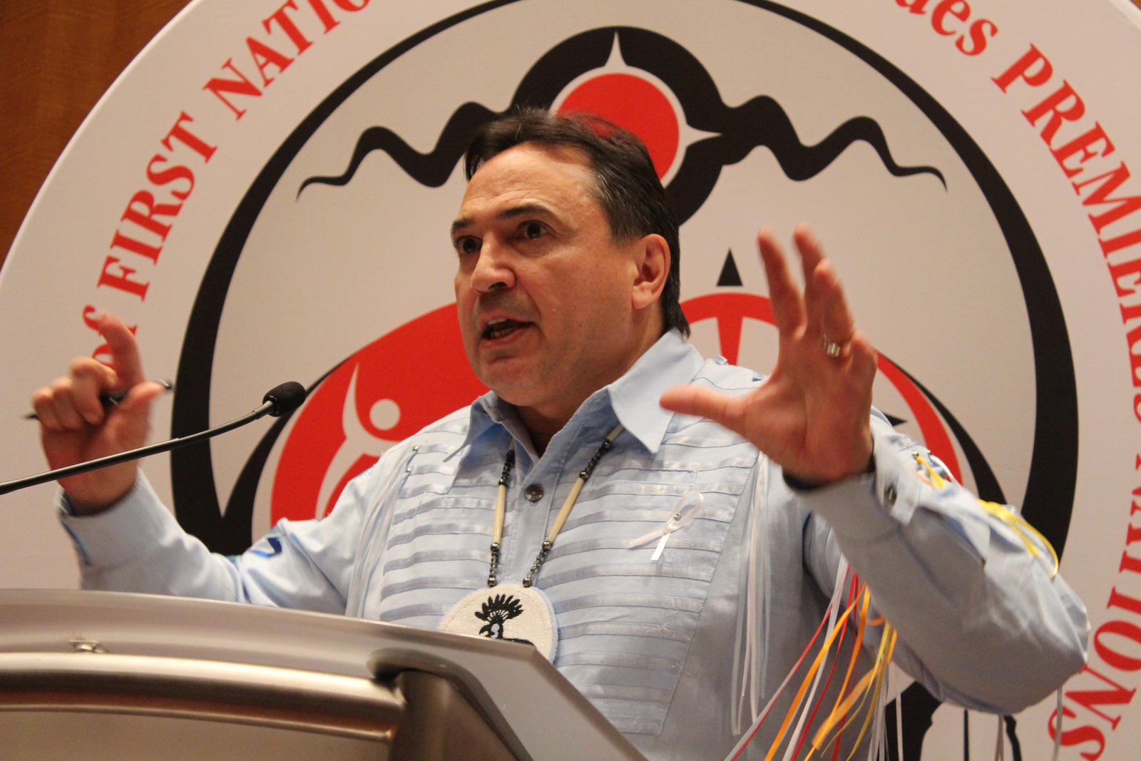 Perry Bellegarde, Assembly of First Nations, National Chief