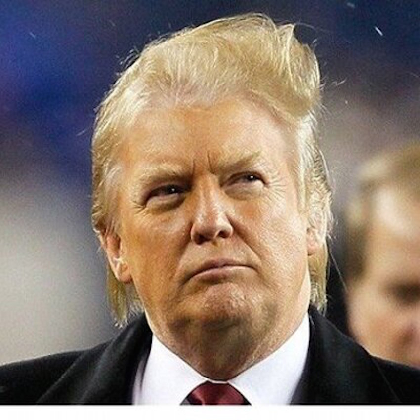 Trump's toupee