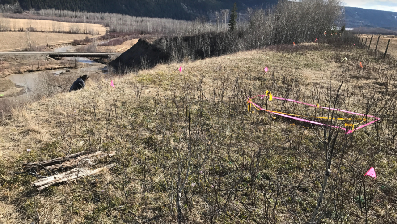 Site C Dam, Prophet River First Nation, West Moberly First Nations, burial site, gravesite