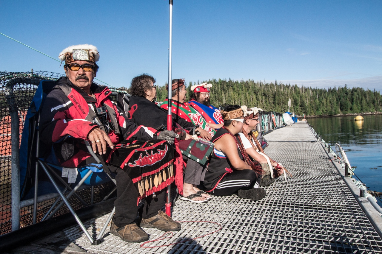 Chief George Quocksister Jr. and others occupy Marine Harvest Fish Farm, salmon