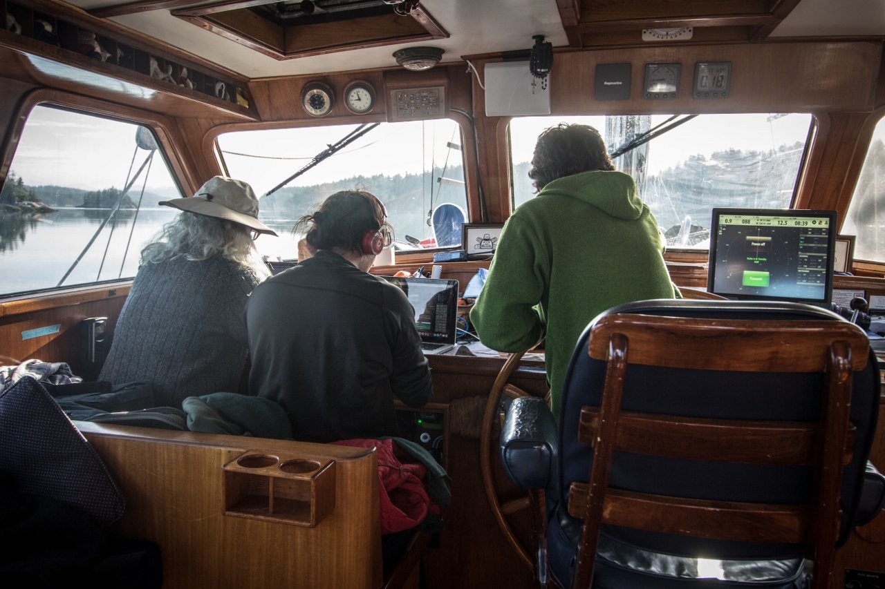 research vessel, Sea Shepherd Conservation Society, salmon, fish farms