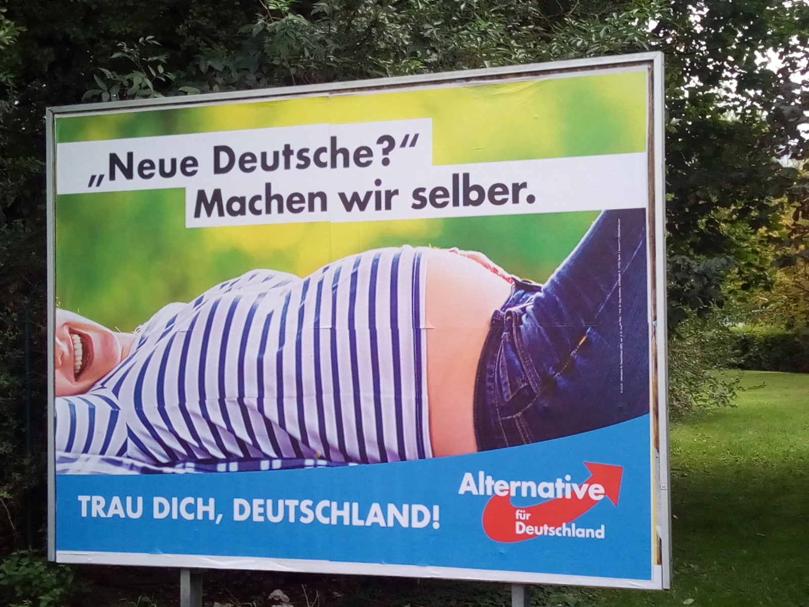 AfD, Germany, far right, federal elections