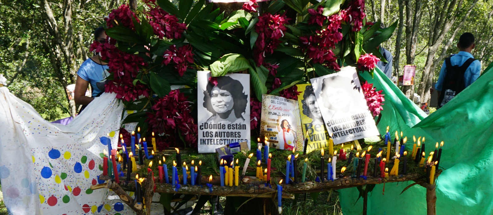 Berta Cáceres, women's rights, Honduras, environmental activists, killings, murder, impunity