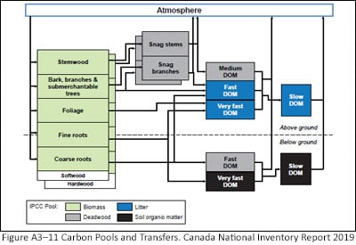 Canada Forest Carbon computer model schematic 