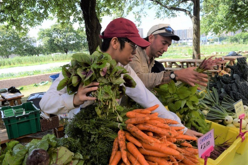 Vendors organize produce, including carrots and callaloo, at a farmers market