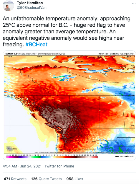 Surviving the heat: The impacts of the 2021 western heat dome in Canada