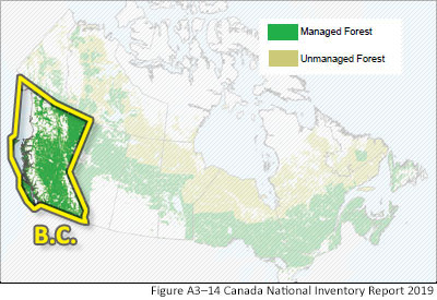 map of managed forests in BC
