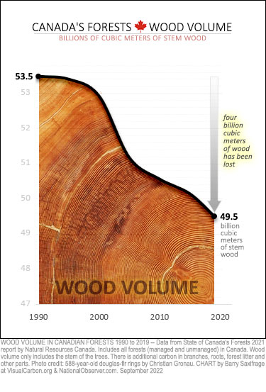 Decline in wood volume in Canada's forests since 1990.