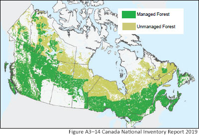 Map showing managed and unmanaged forests in Canada