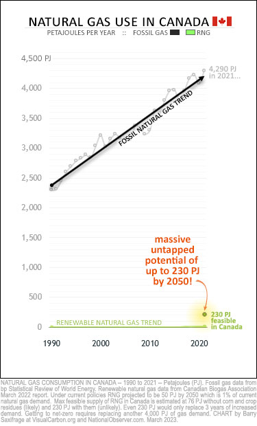 Canadian fossil and renewable natural gas use 1990 to 2021