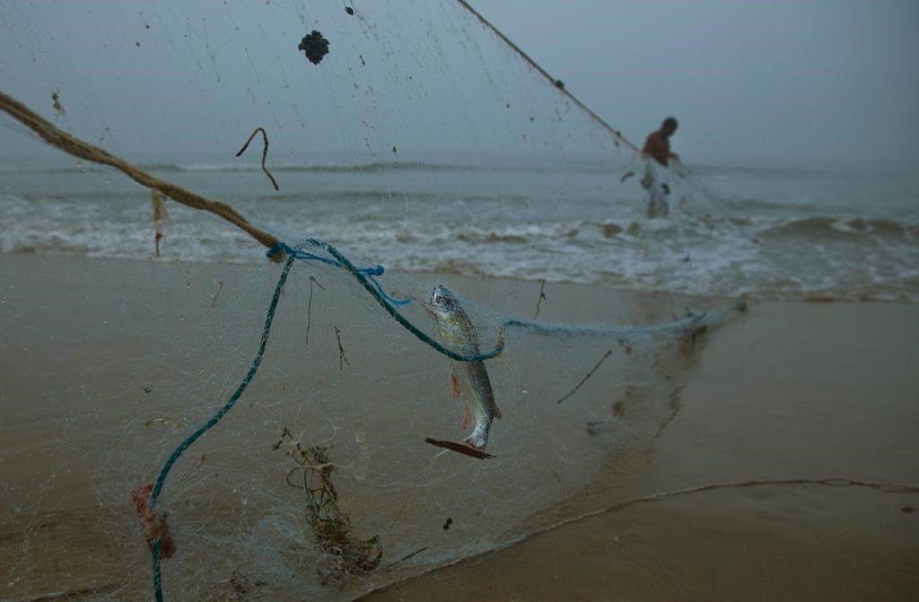 Indian Fishermen Try New Nets For Healthier Oceans National Observer
