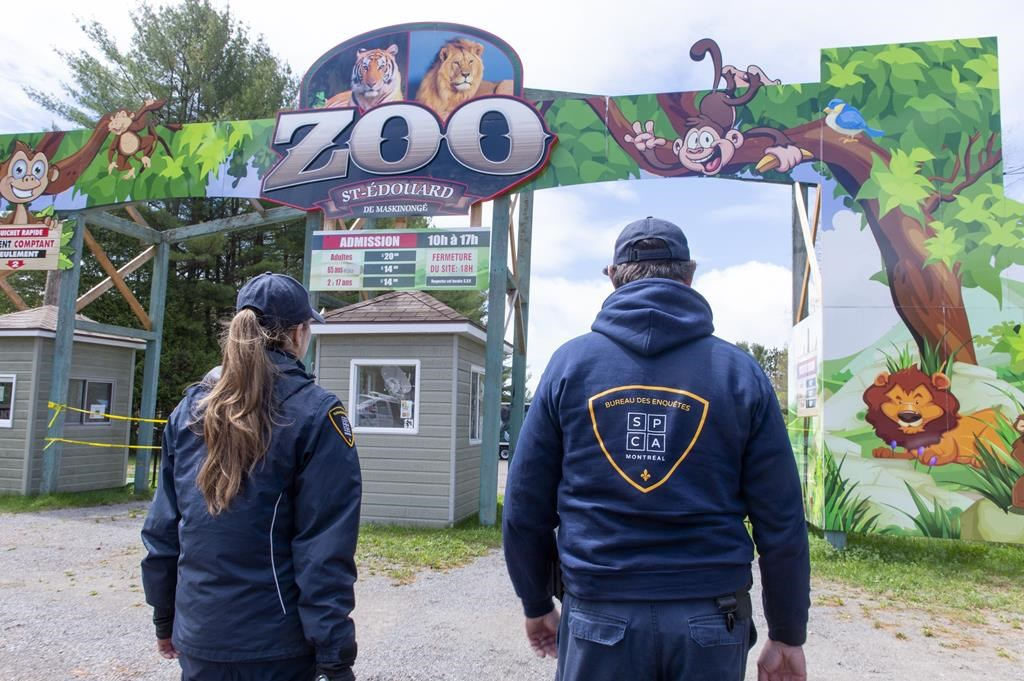 Animal welfare advocates move to seize exotic animals from Quebec roadside  zoo | Canada's National Observer: News & Analysis