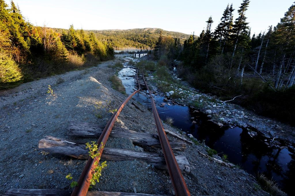 Adventurers flock to abandoned Newfoundland amusement park, railway site