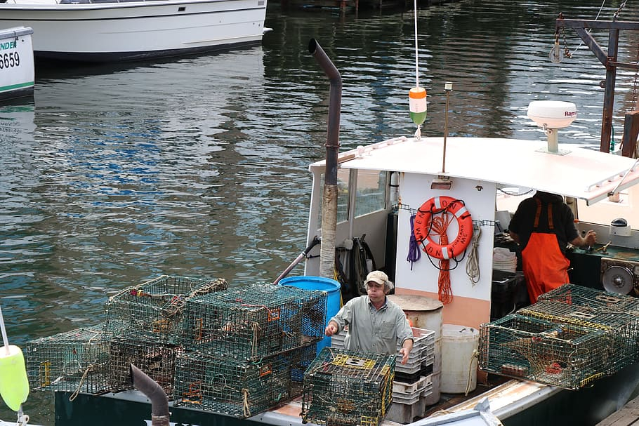 Climate change eliminated 16% of New England fishing jobs
