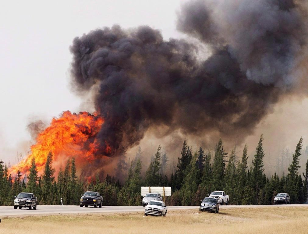 Wildfires changing boreal forest ecosystem | Canada's National Observer:  News & Analysis