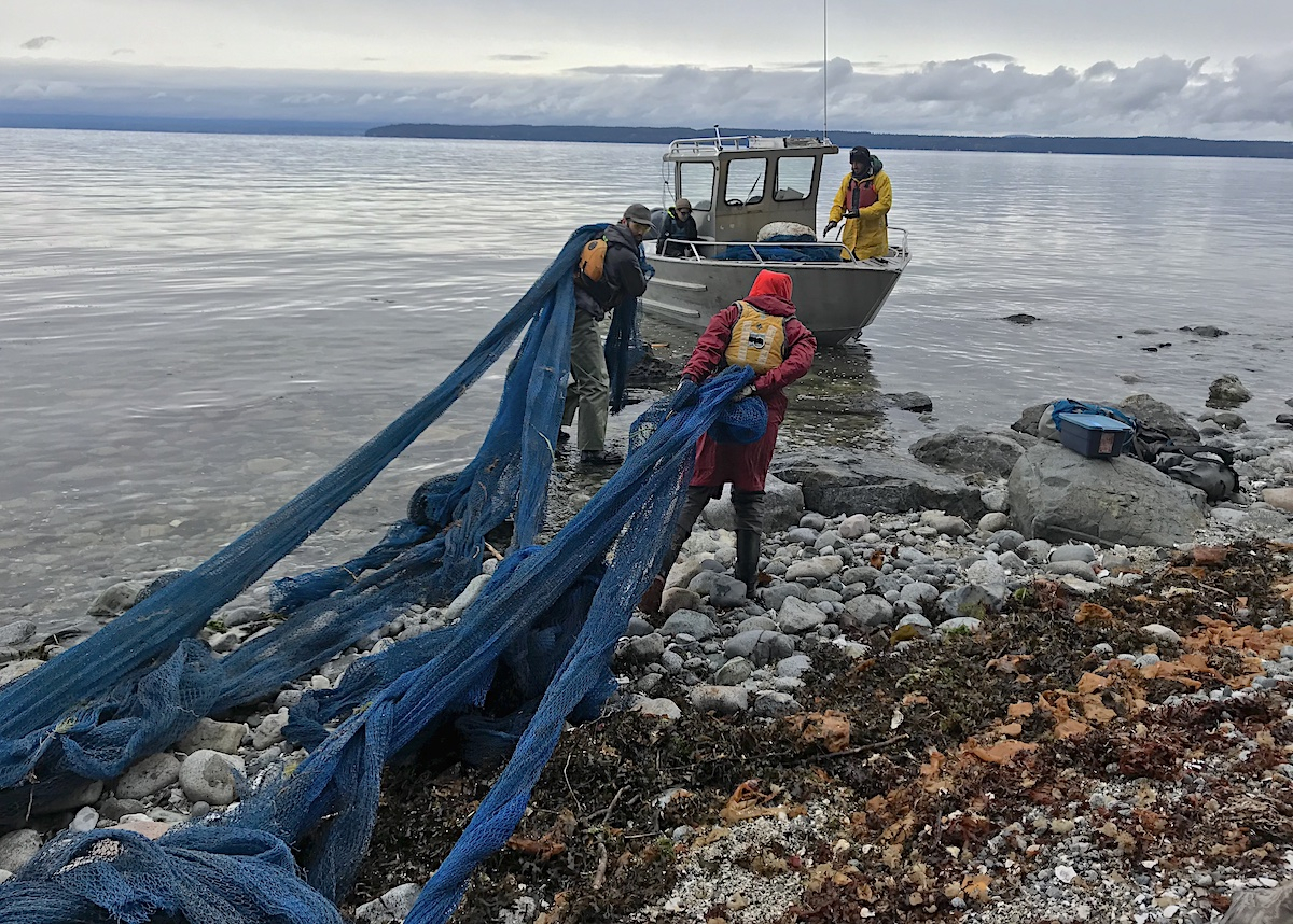 dynasti gå plantageejer Coastal cleanup bags 50 tonnes of marine debris | Canada's National  Observer: News & Analysis