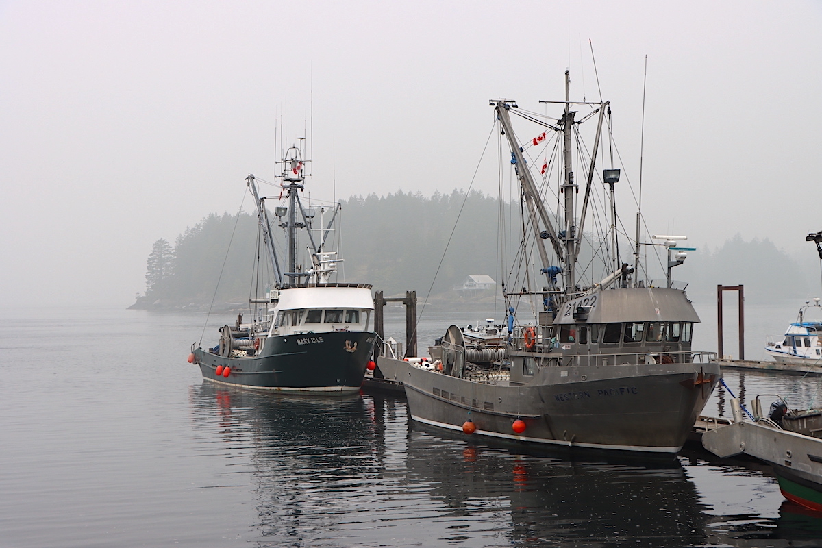 Who gets to fish for B.C. salmon in the future?