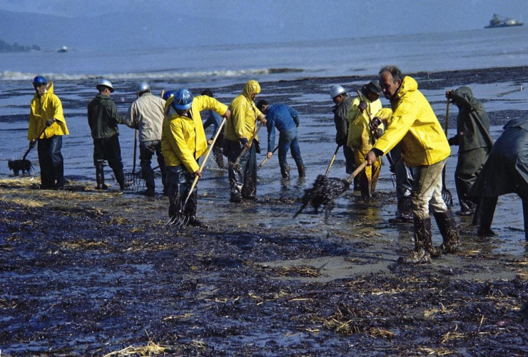 Oil spill, Pipeline, Coastal contamination, Environment, California, Pipeline break