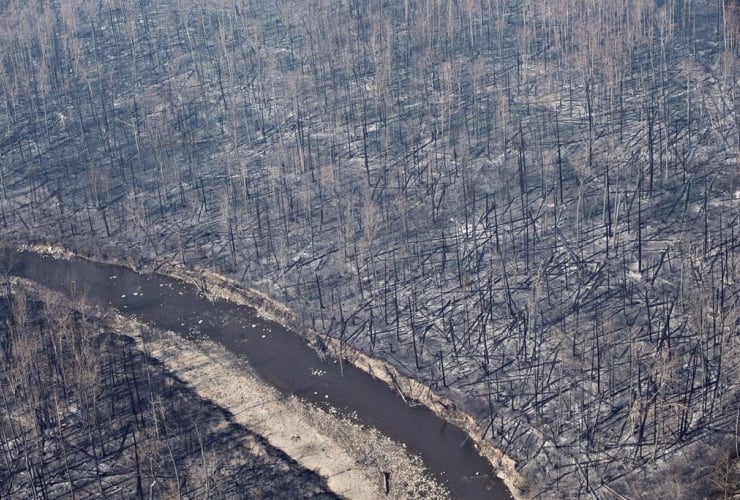 Fort McMurray, forest fires, climate change