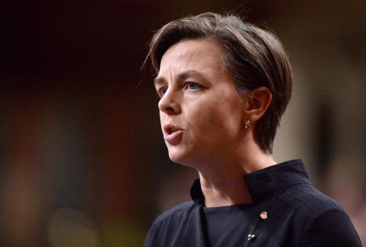 Kellie Leitch, Conservative Party, Tory leadership Race