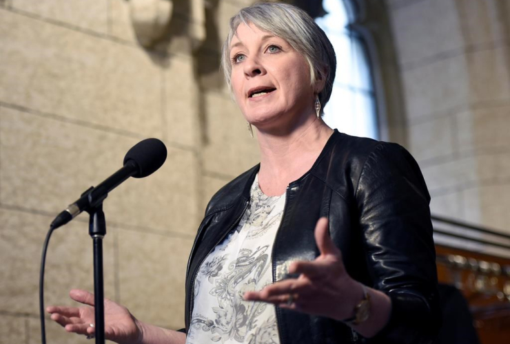 Minister of Employment, Workforce Development and Labour Patty Hajdu speaks to reporters during a weekend meeting of the national caucus on Parliament Hill in Ottawa on Saturday, March 25, 2017.