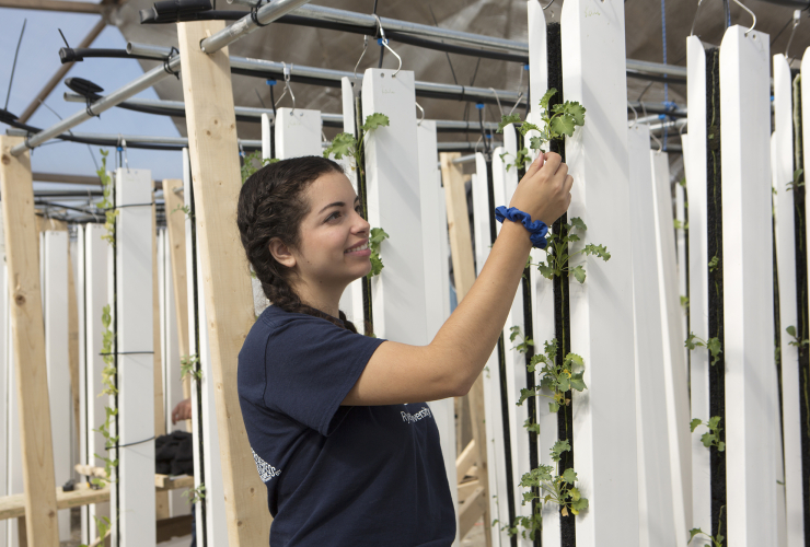 Stefany Nieto, a co-founder of Growing North, in the group's greenhouse in Naujaat, Nunavut. Photo by Growing North