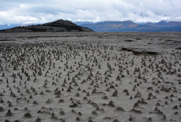 In this photo provided by Jim Best/University of Illinois, taken in 2016, sections of the newly exposed, once under water, bed of Kluane Lake contain small pinnacles.