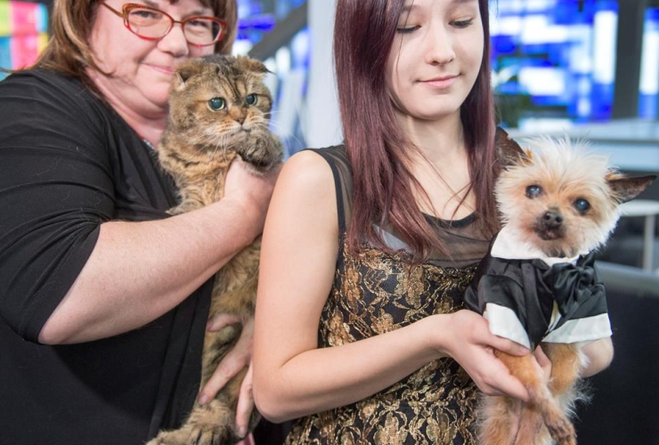 Quebec's oldest cat, Hortence, 21, and dog, Cashew, 17, are shown by their owners Suzanne Hamlin and Ameliane Bibeau at the Canadian Veterinarian Convention Friday, April 21, 2017 in Montreal.