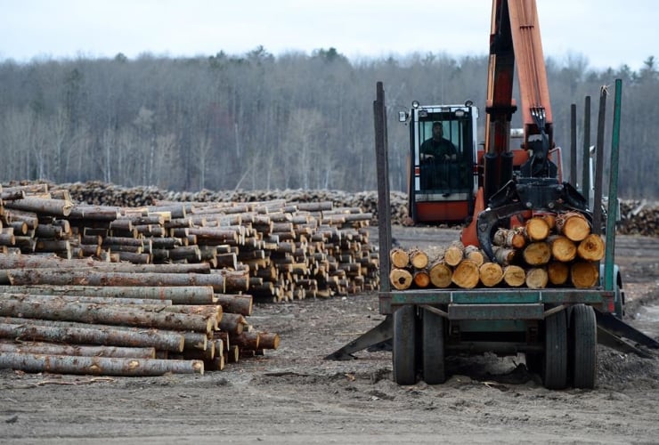 Logs are unloaded at Murray Brothers Lumber Company woodlot in Madawaska, Ontario on Tuesday April 25, 2017.