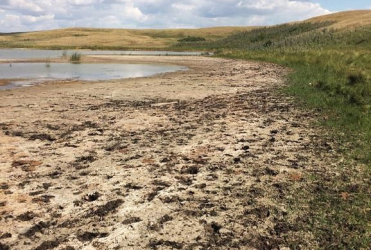 dried up slough, municipality of Baildon, Moose Jaw, Sask., Agricultural Producers Association of Saskatchewan