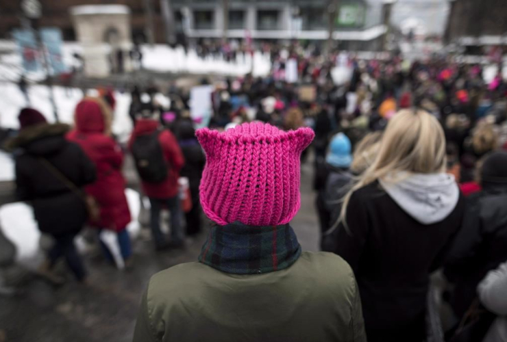 woman, pink "pussy hat", Women's March, women and human rights groups, 